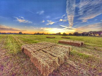 Coulter Lane Farms - image gratuit #491681 