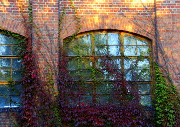 Autumn colors on the wall - image #493351 gratis