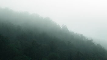 Morning fog - Free image #493471