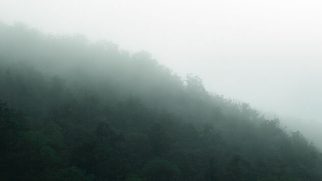 Morning fog - Kostenloses image #493471