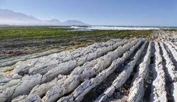 Vertical limestone rocks. Kaikoura NZ - image gratuit #493691 