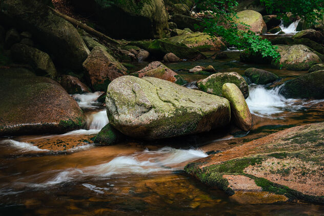 Forest stream - бесплатный image #495051