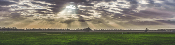 Biesbosch polder-- Dordrecht - Free image #495781