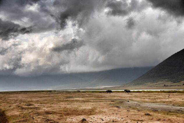 Low Cloud Ngorongoro Crater - бесплатный image #497191