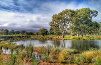 Victoria Park Wetlands, Adelaide Parklands - image gratuit #499541 