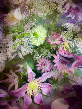 Floral Display - image #499801 gratis