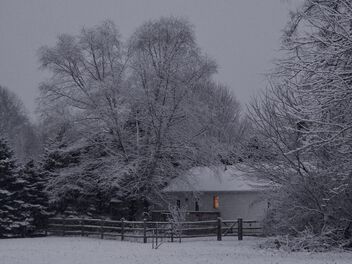 Snowy Dawn - image #503421 gratis