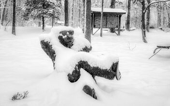 Kicking Back and Enjoying the Snow - image #503571 gratis