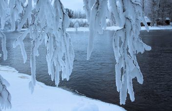 Winter river view - image #503721 gratis
