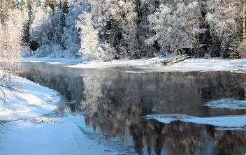 Sunny winter view - image gratuit #504181 
